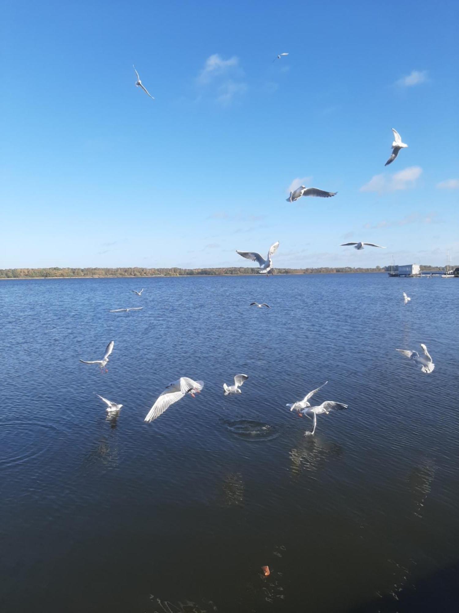 Hotel Perle Am Bodden Ribnitz-Damgarten Luaran gambar