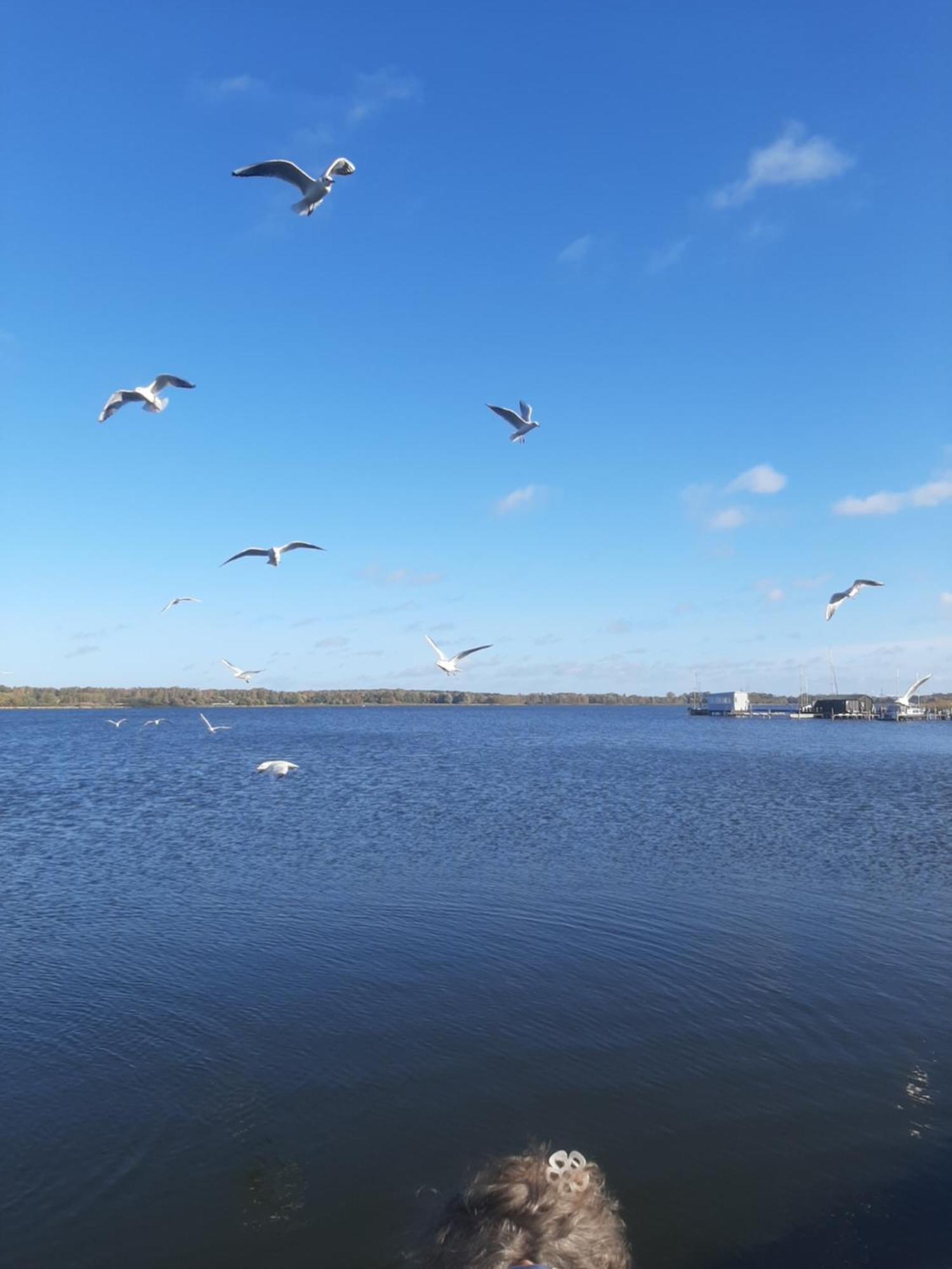 Hotel Perle Am Bodden Ribnitz-Damgarten Luaran gambar