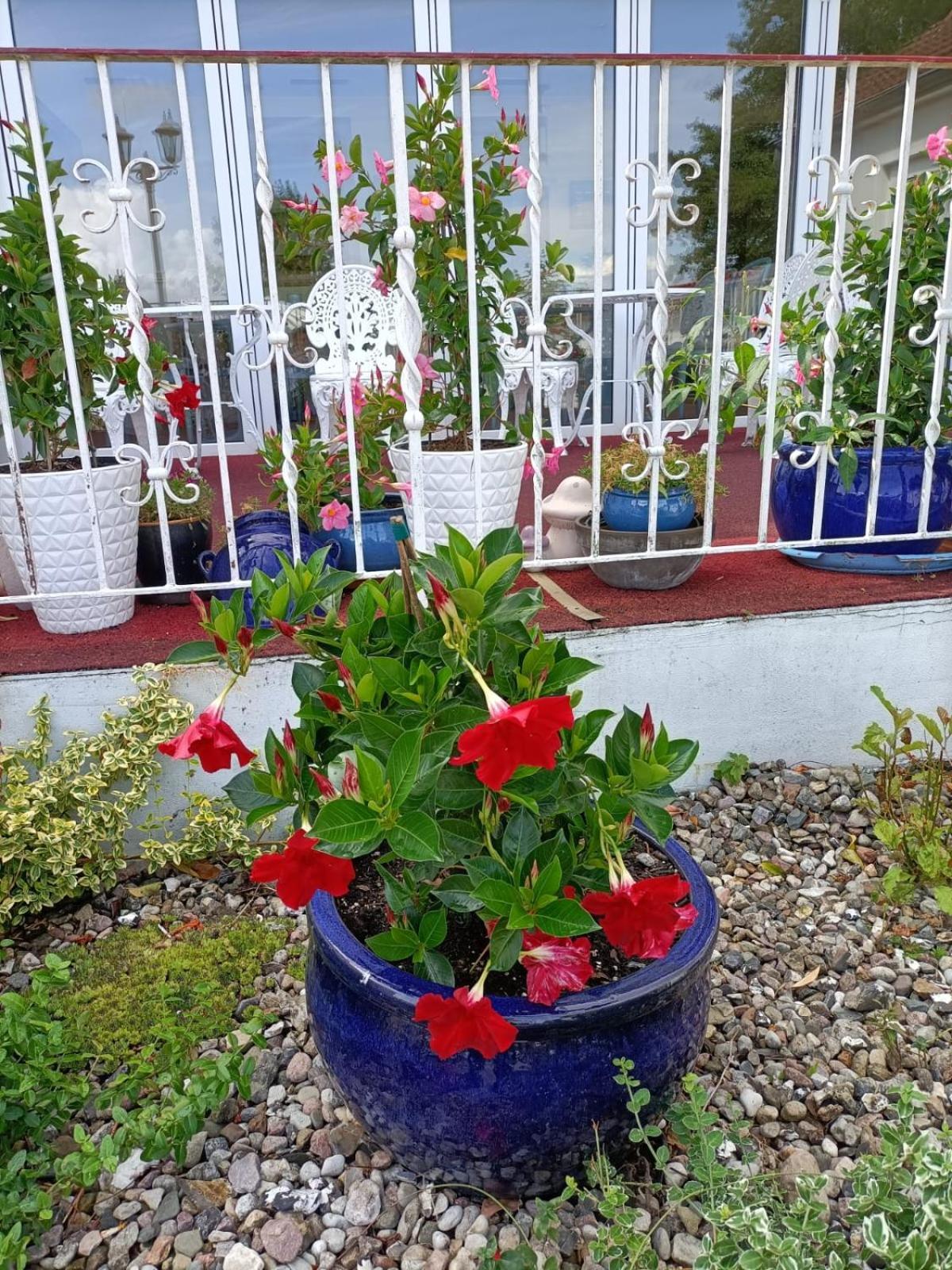 Hotel Perle Am Bodden Ribnitz-Damgarten Luaran gambar